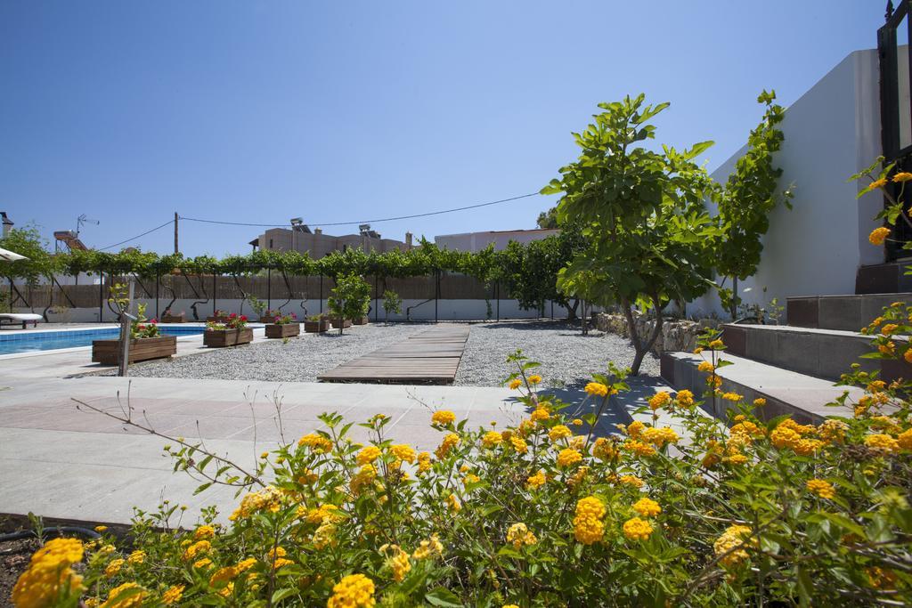 Villa Nefeli Kiotari Dış mekan fotoğraf